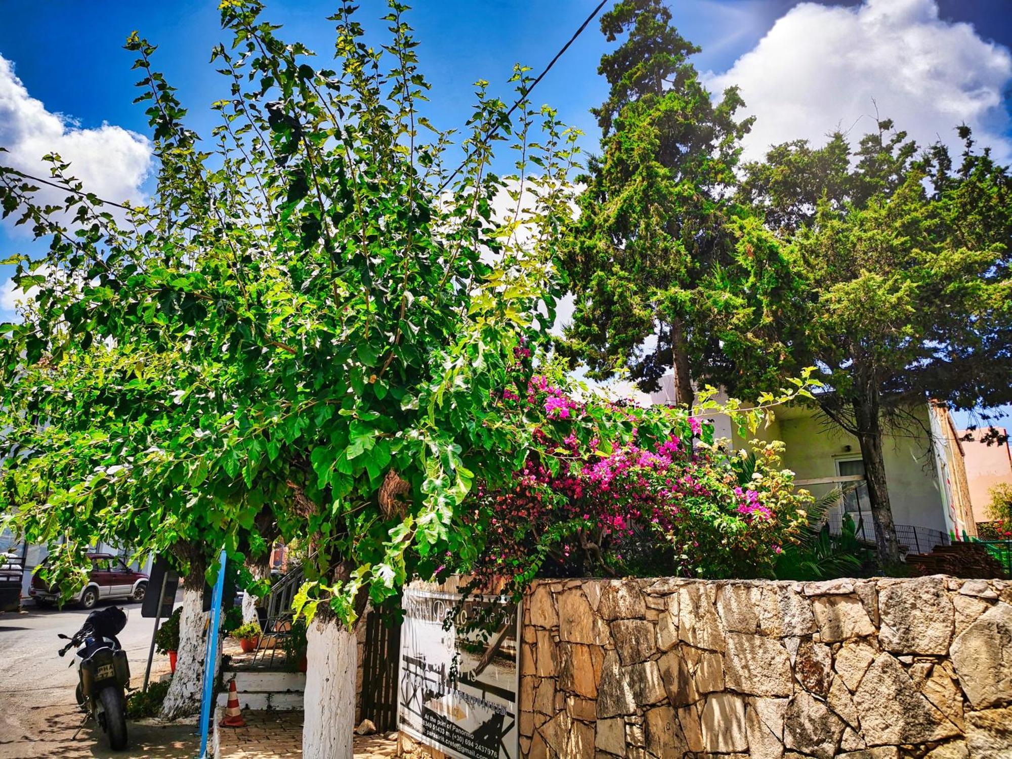 Ble Residence, Your Home Away From Home Panormos  Экстерьер фото